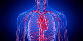 Vascular speciality banner