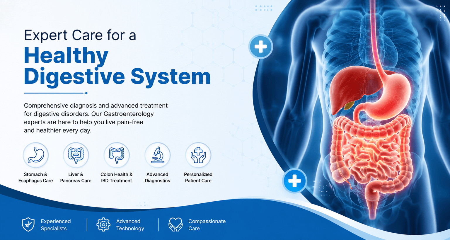 Gastroenterology specialty banner