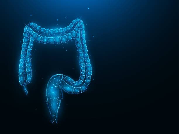 Proctology speciality banner